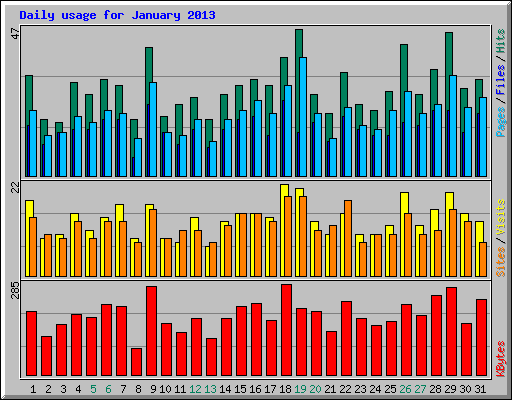Daily usage for January 2013