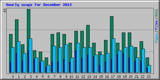 Hourly usage for December 2012