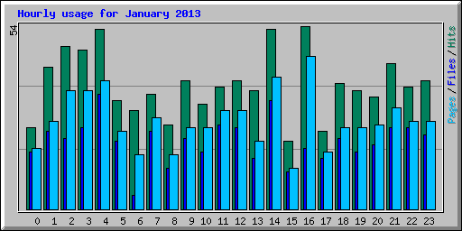 Hourly usage for January 2013